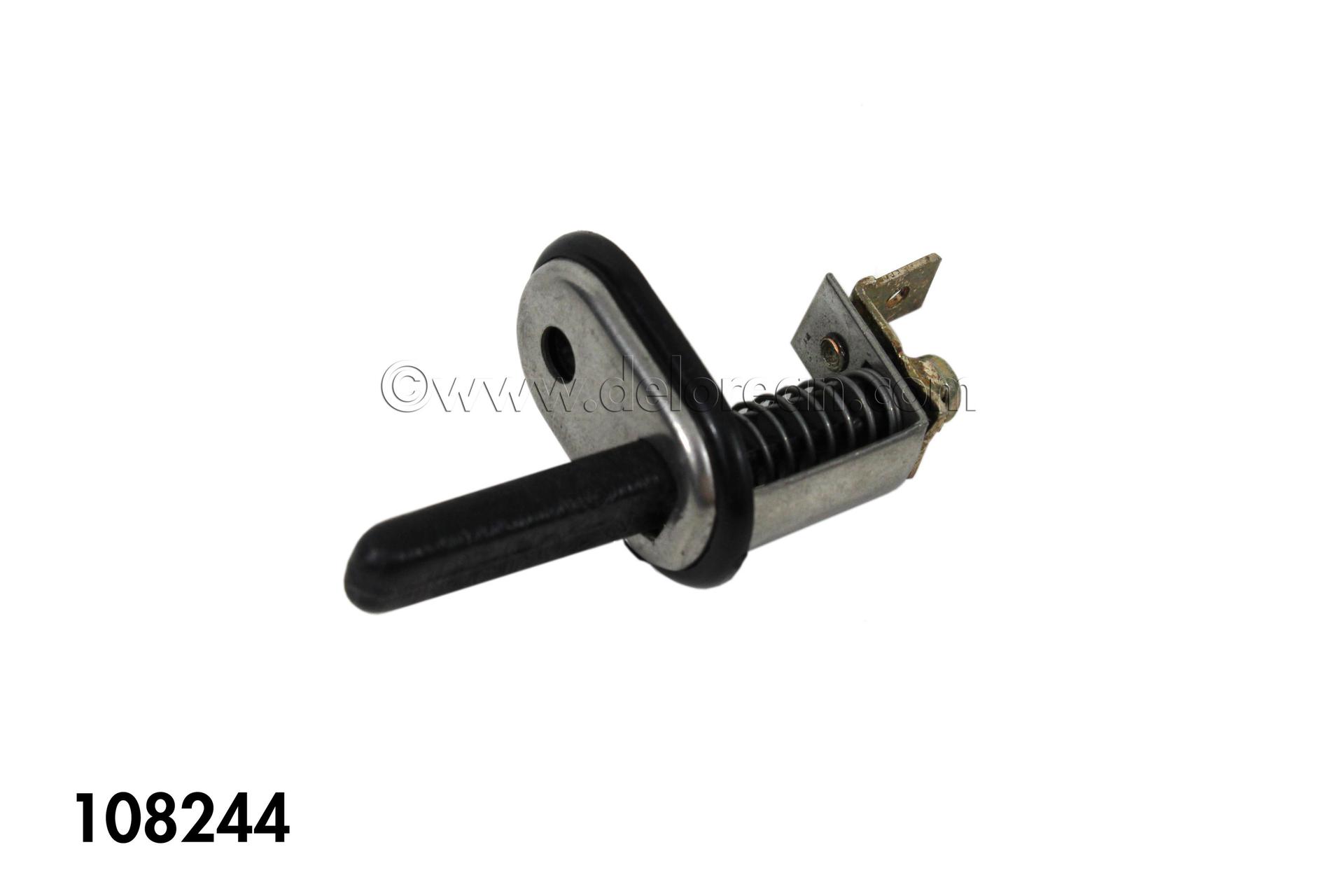 Courtesy Light Switch