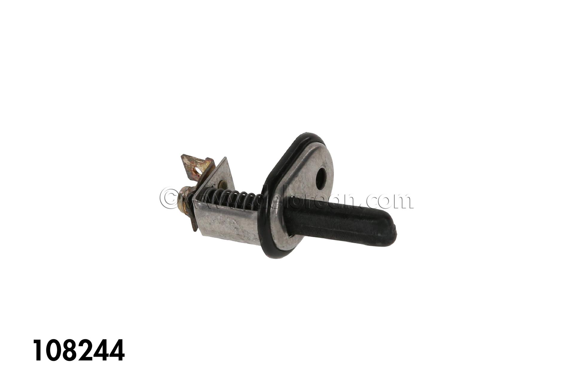 Courtesy Light Switch