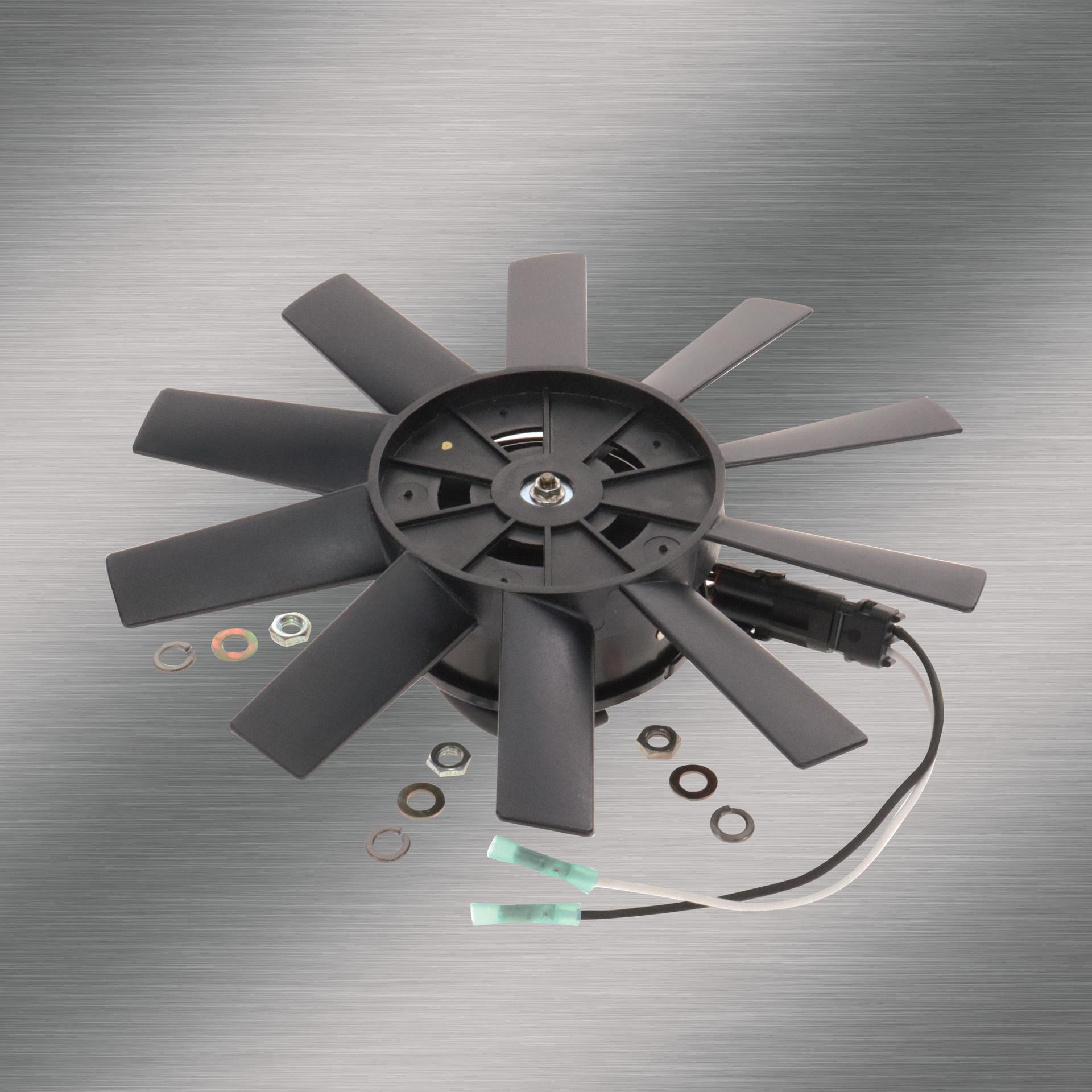 Reproduced and Reintroduced