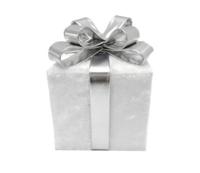 DeLorean Books, Parts, Accessories, & More!