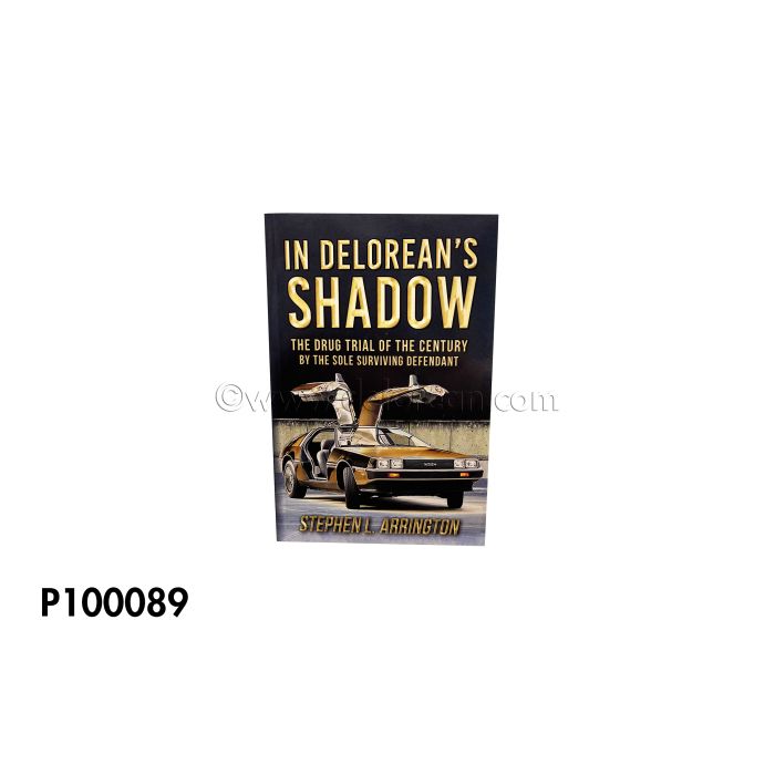 In DeLorean's Shadow