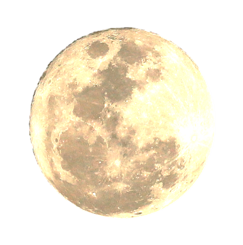 moonlight concert