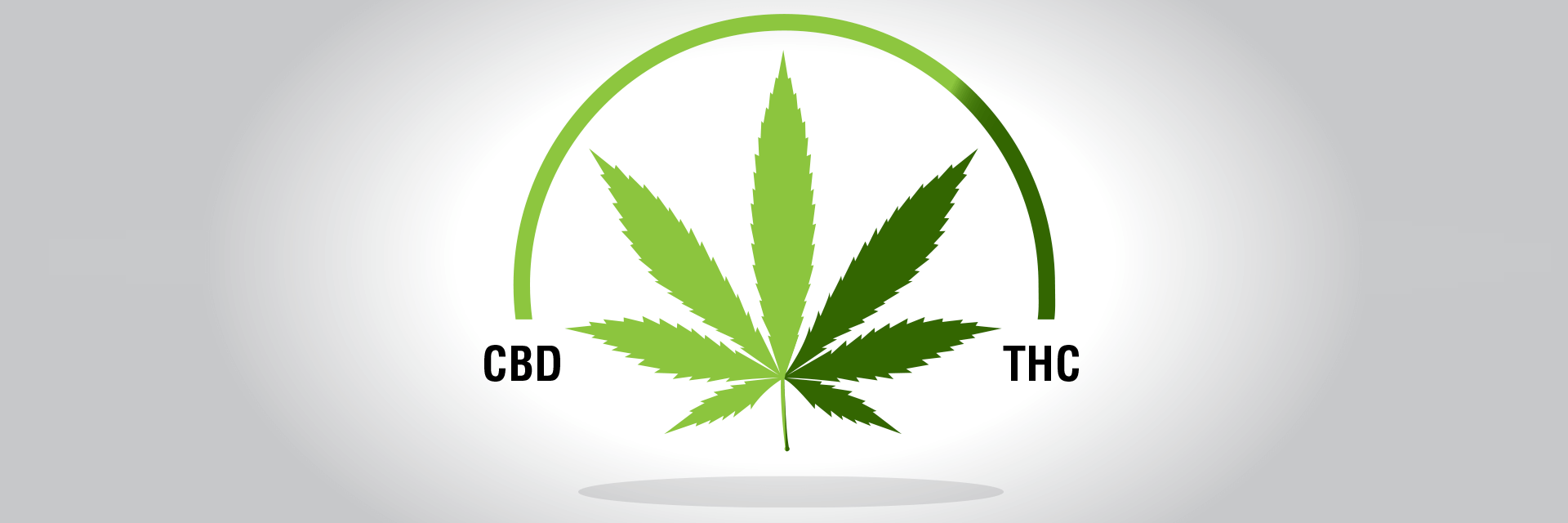 Straight Talk - THE TRUTH ABOUT CBD