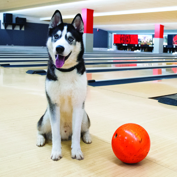 Bowling league.