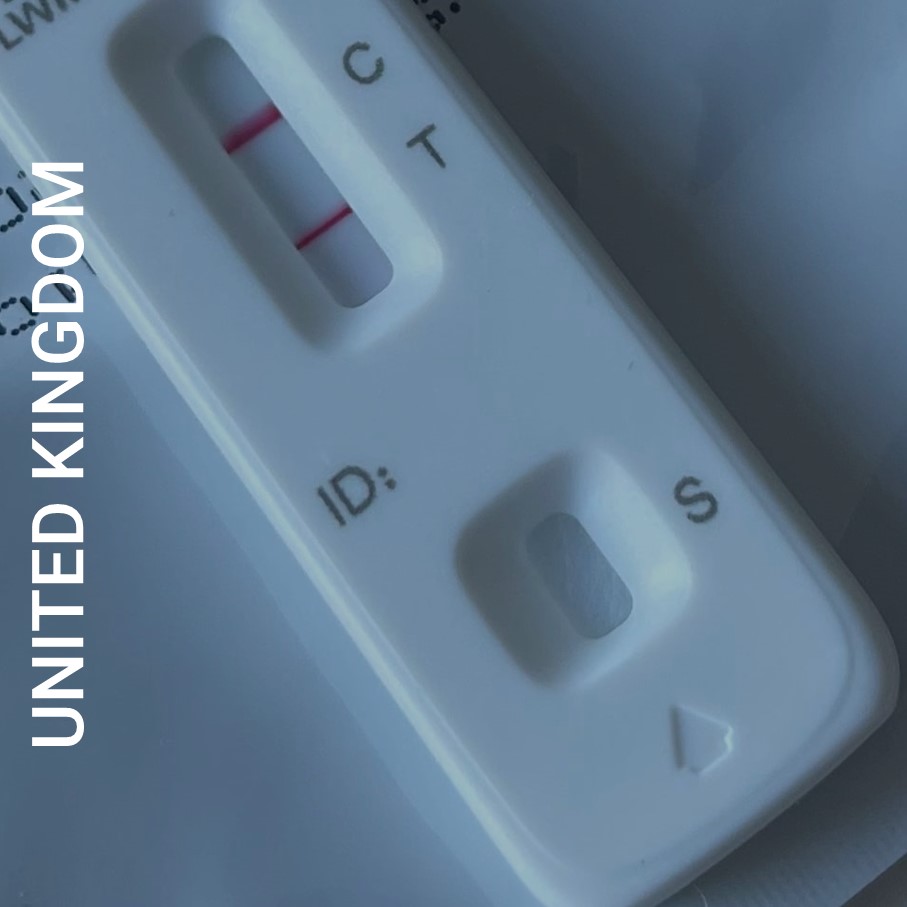 Alternate text