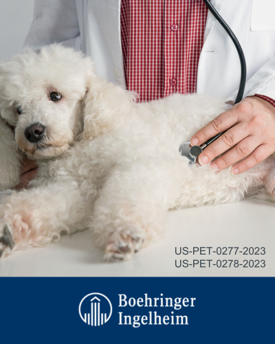 Video Conversation: Heart Matters