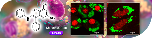 ShoyakuGreen, a Fluorescent Dye for Staining Lipid Droplets