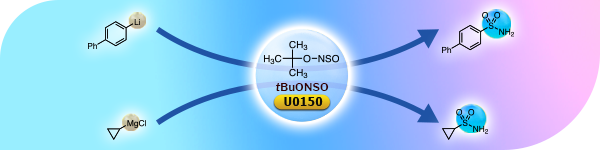 Peptide Nucleic Acid (PNA) Monomers