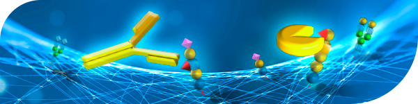 Carbohydrate-Binding Proteins: Anti-sugar Antibody and Lectin