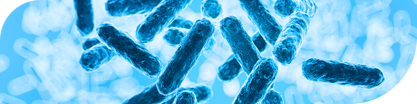 Glyco Reagents for Prebiotics Research