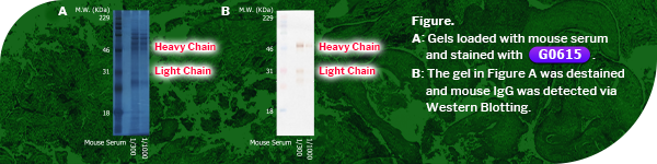 Gel Negative-Staining Kit for Rapid and Highly Sensitive Protein Detection