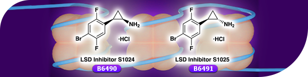 Inhibitors of Lysine-specific Demethylases (LSDs)