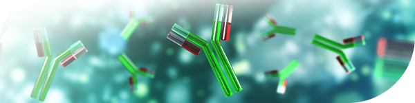 Antibody-Binding Proteins: Protein A, Protein G, Protein L