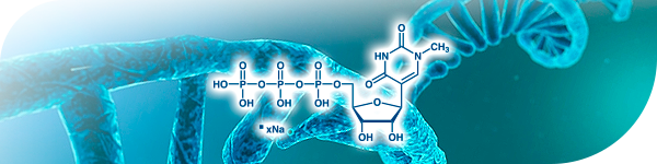 RNA Base-modified Nucleoside Triphosphate for mRNA Medicine Development