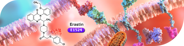 Erastin: Inducer of Ferroptosis