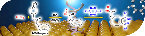 TCO (trans-cyclooctene) Reagents for Bioconjugate Reactions