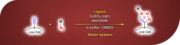 Fluorination Using F-TEDA-BF4