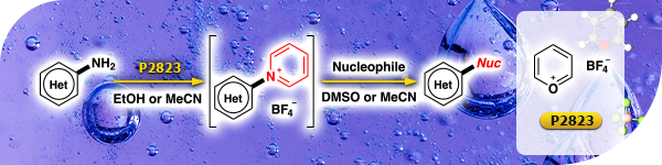 Pyrylium Salt Reagent for Nucleophilic Aromatic Substitution Reactions of Amino Heteroaromatic Compounds