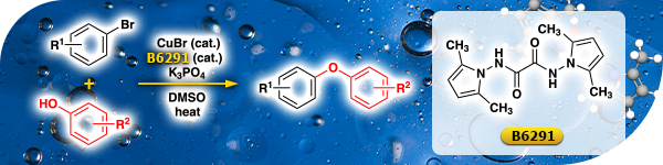 Ligand for the Synthesis of Biaryl Ethers