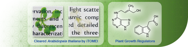 Plant Research Reagents