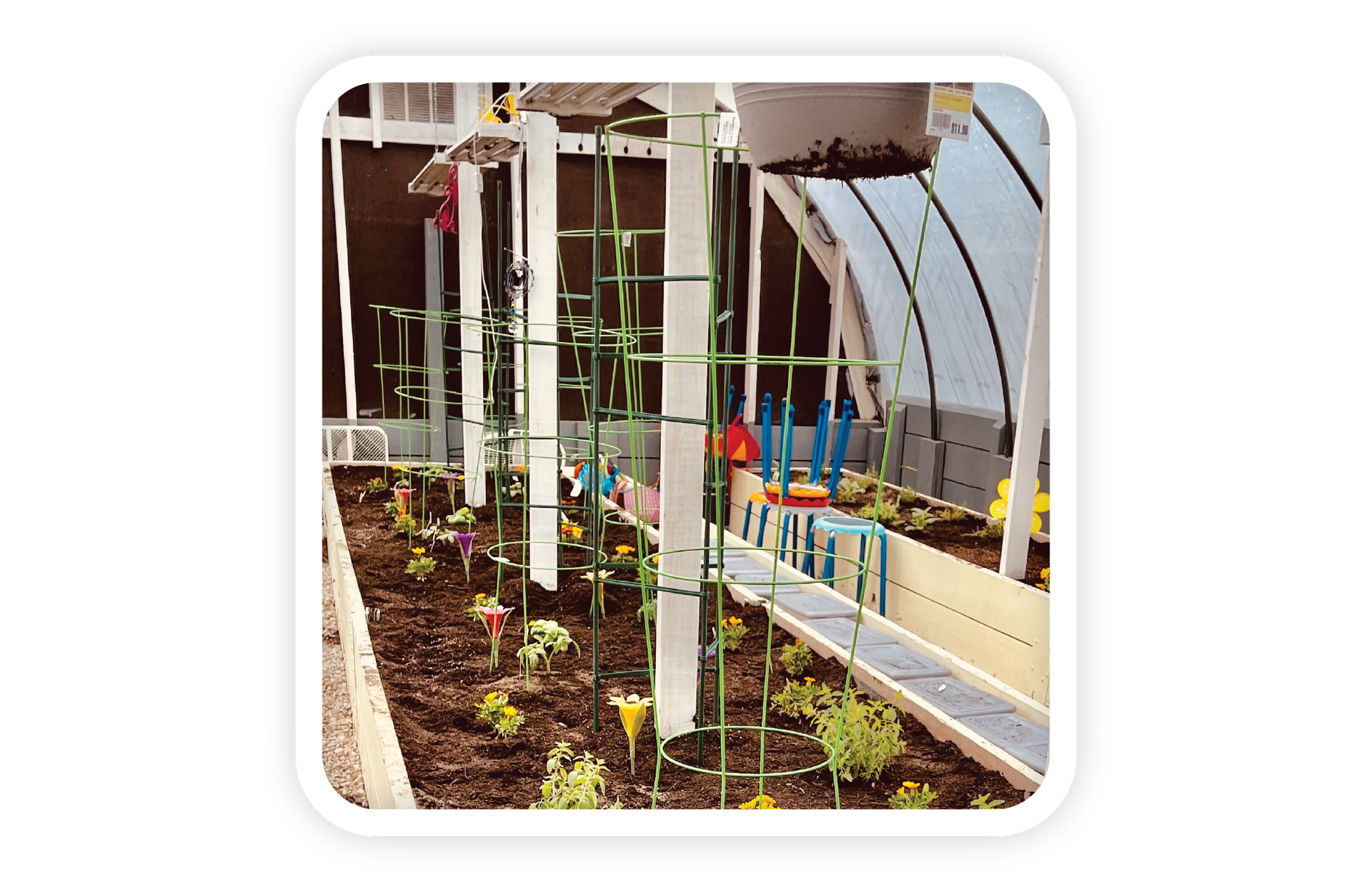 Farm Greenhouse