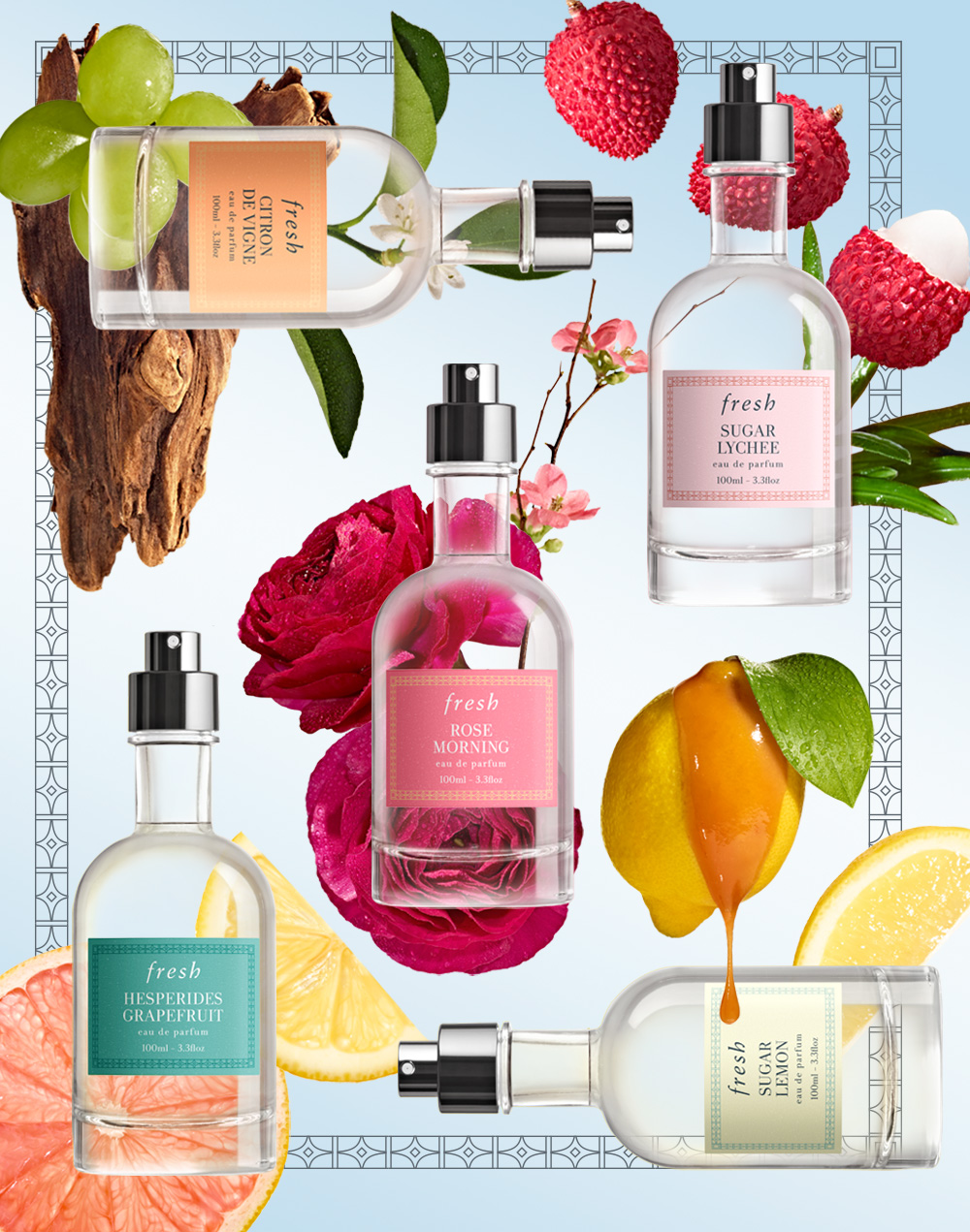 Shop Fragrance