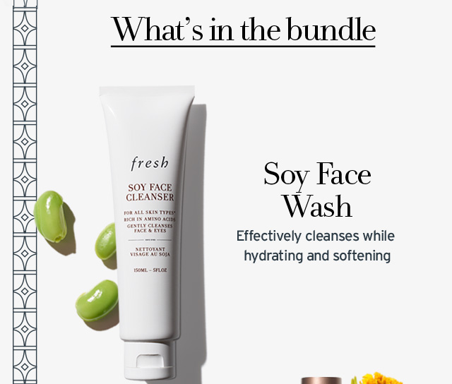 Soy Face Wash