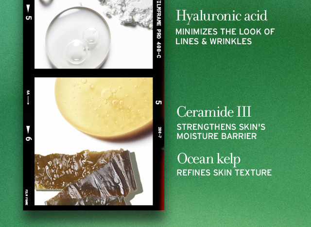 Ceramide III