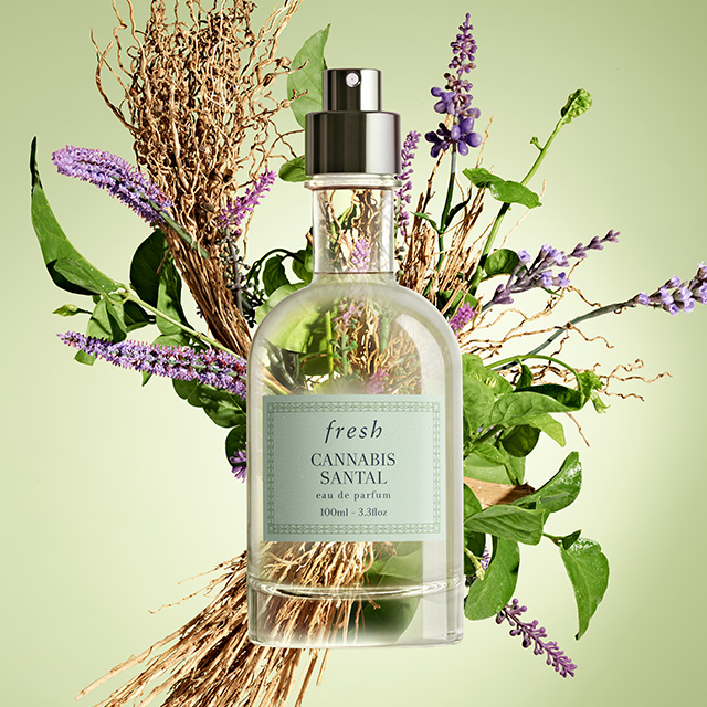 Cannabis Santal