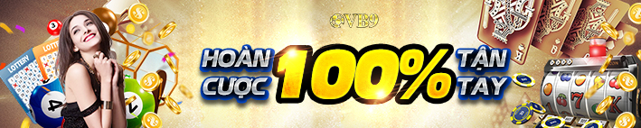 banner 3 - vb9