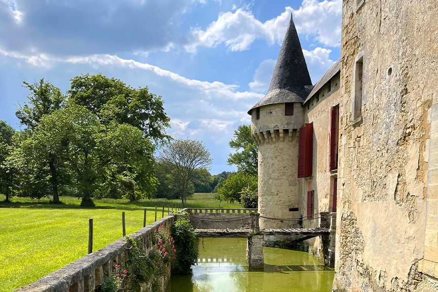 The White Bordeaux Report