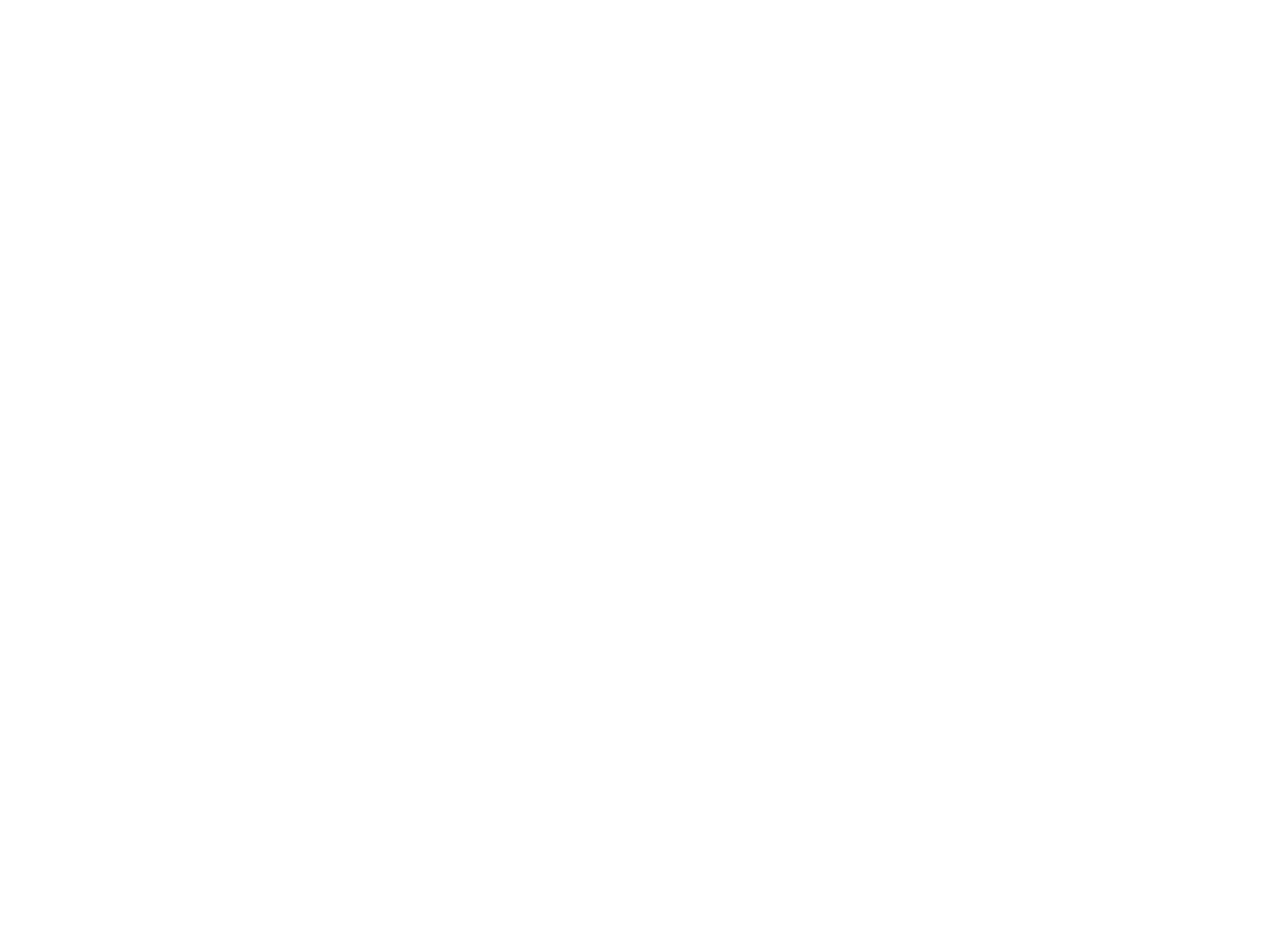 NSM Insurance Group Logo, Build Success