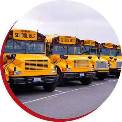 Photo of School buses