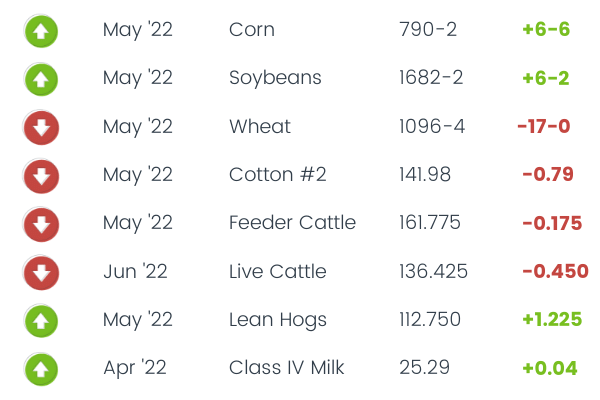 Commodity Corner