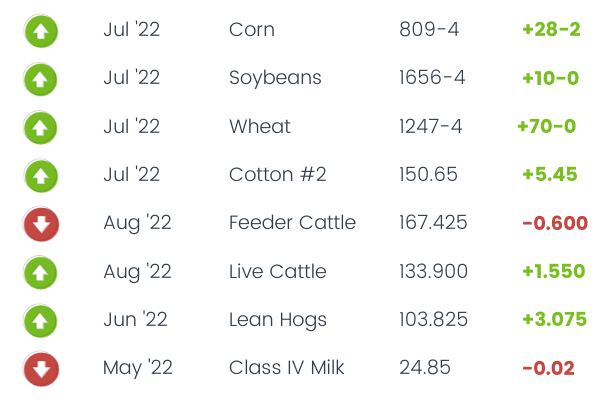 Commodity Corner