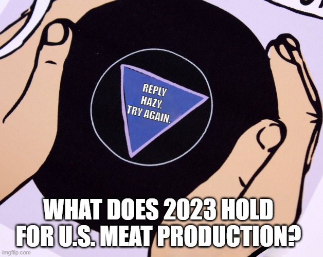 Magic 8 Ball