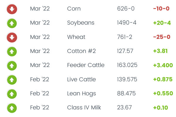Commodity Corner