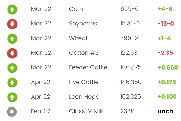 Commodity Corner