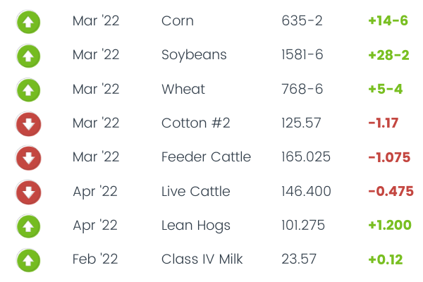 Commodity Corner