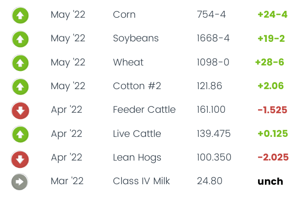 Commodity Corner