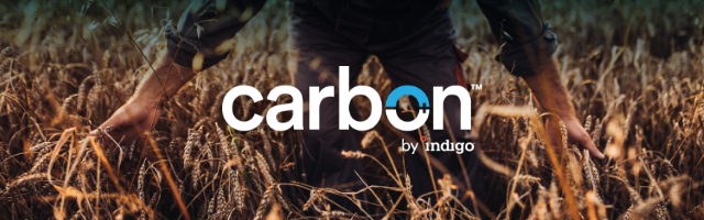 Carbon by Indigo