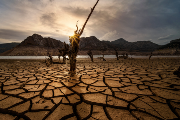 California Drought