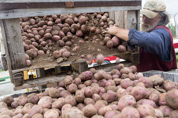 Potatoes