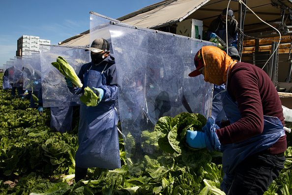 Workers