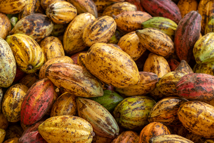 Cocoa Beans