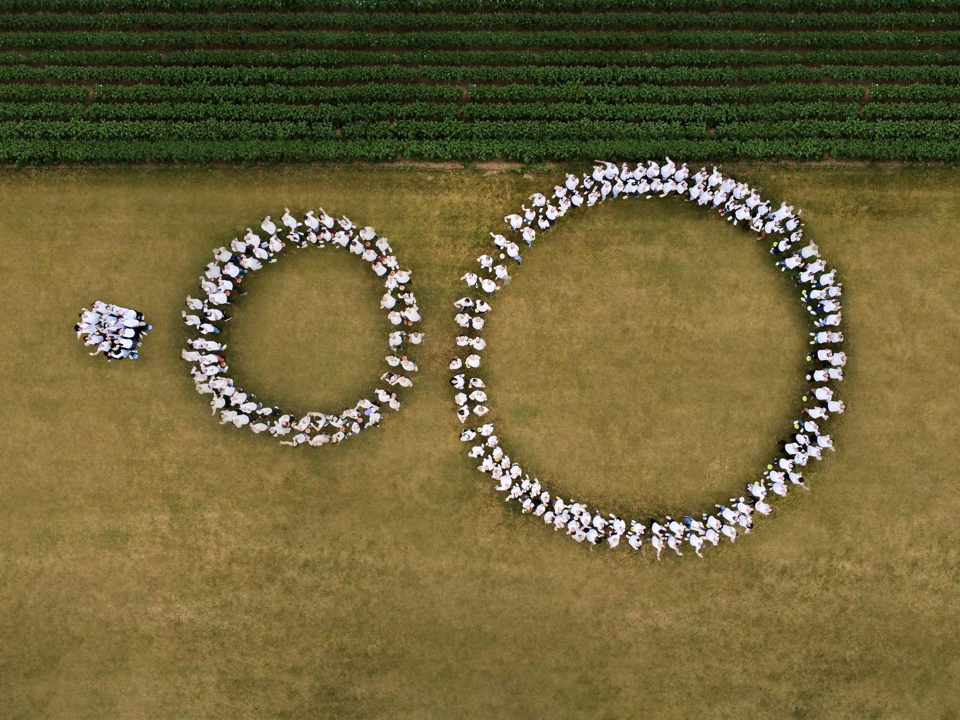 Innovafeed Human Logo