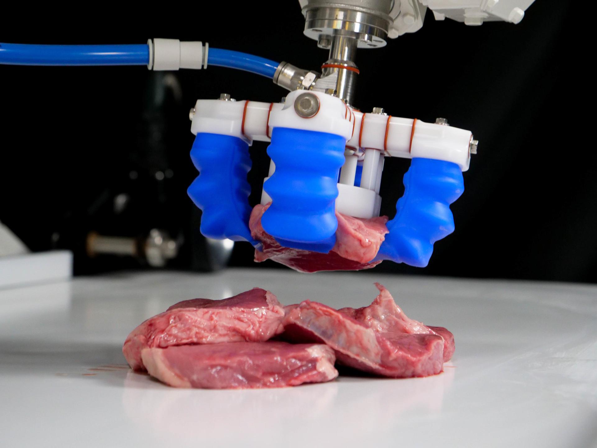 Protein Automation