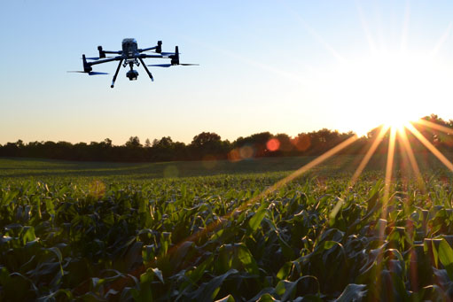 Drone over a field