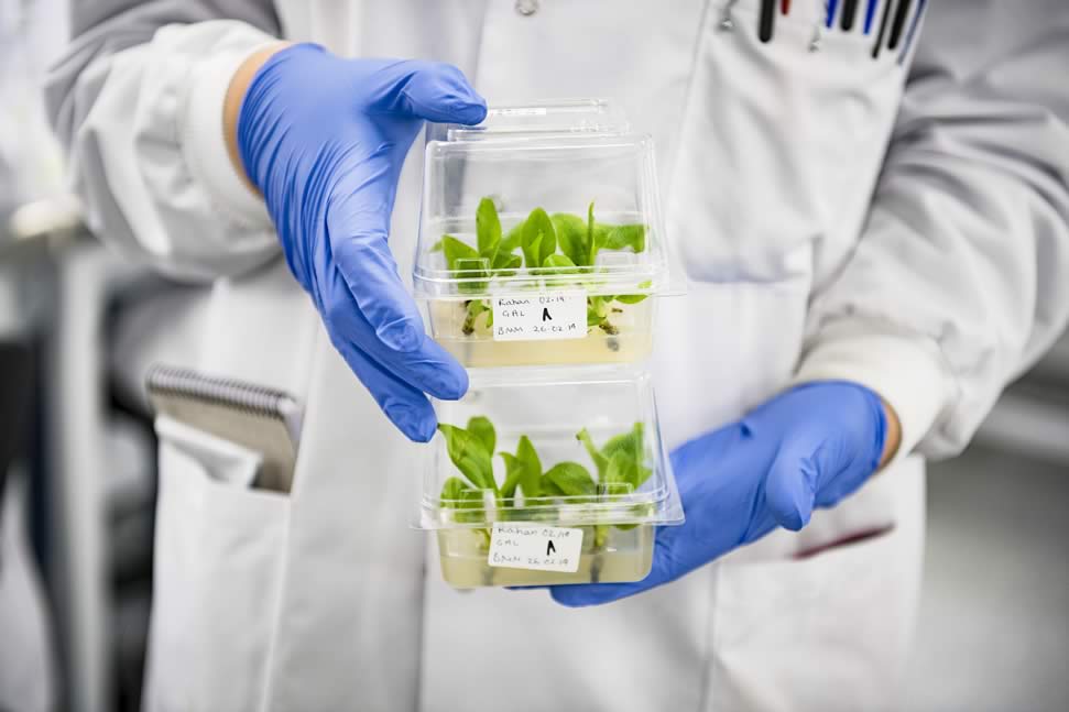 Tropic Biosciences