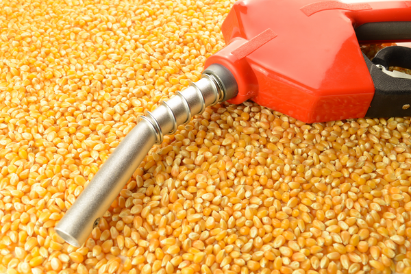 Corn and gas pump nozzle